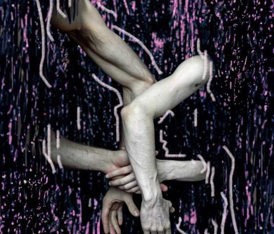 every_body