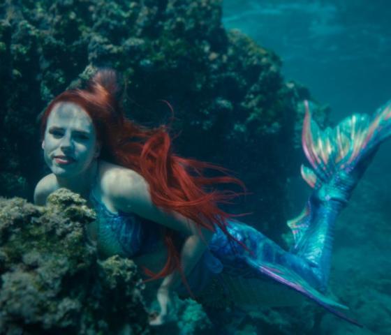 Under the Surface