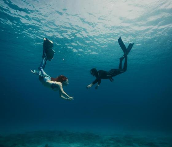 Under the Surface