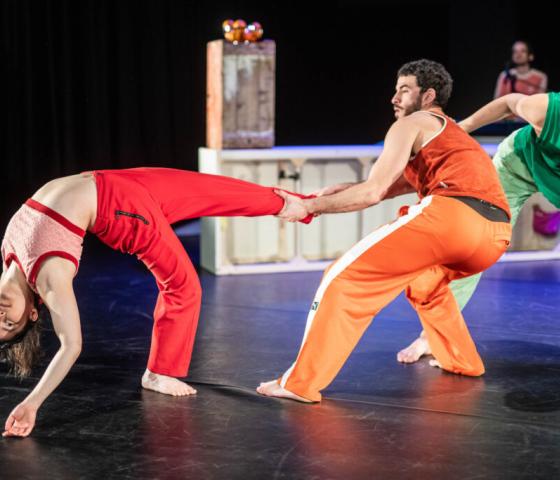 De Dansers 