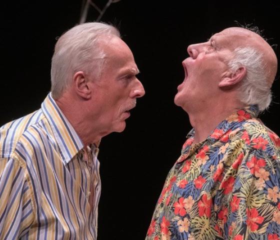De Cochonnet - Cary Goossens en Erik Goris