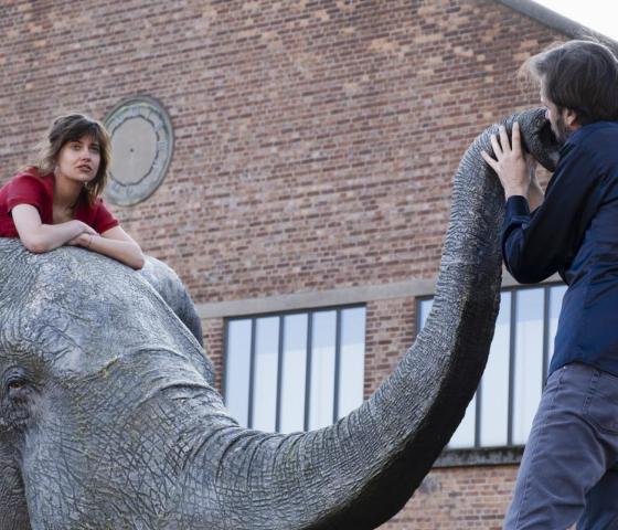 Tembo