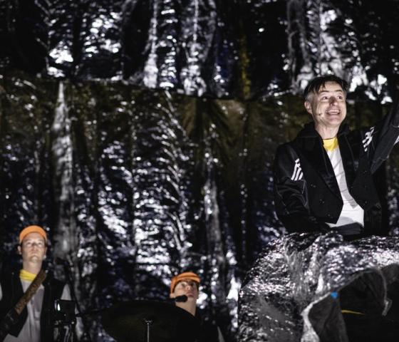 Lodewijk de koningspinguïn 