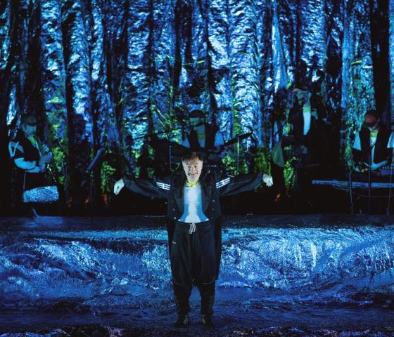 Lodewijk de koningspinguïn 