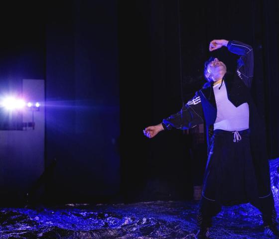 Lodewijk de koningspinguïn 